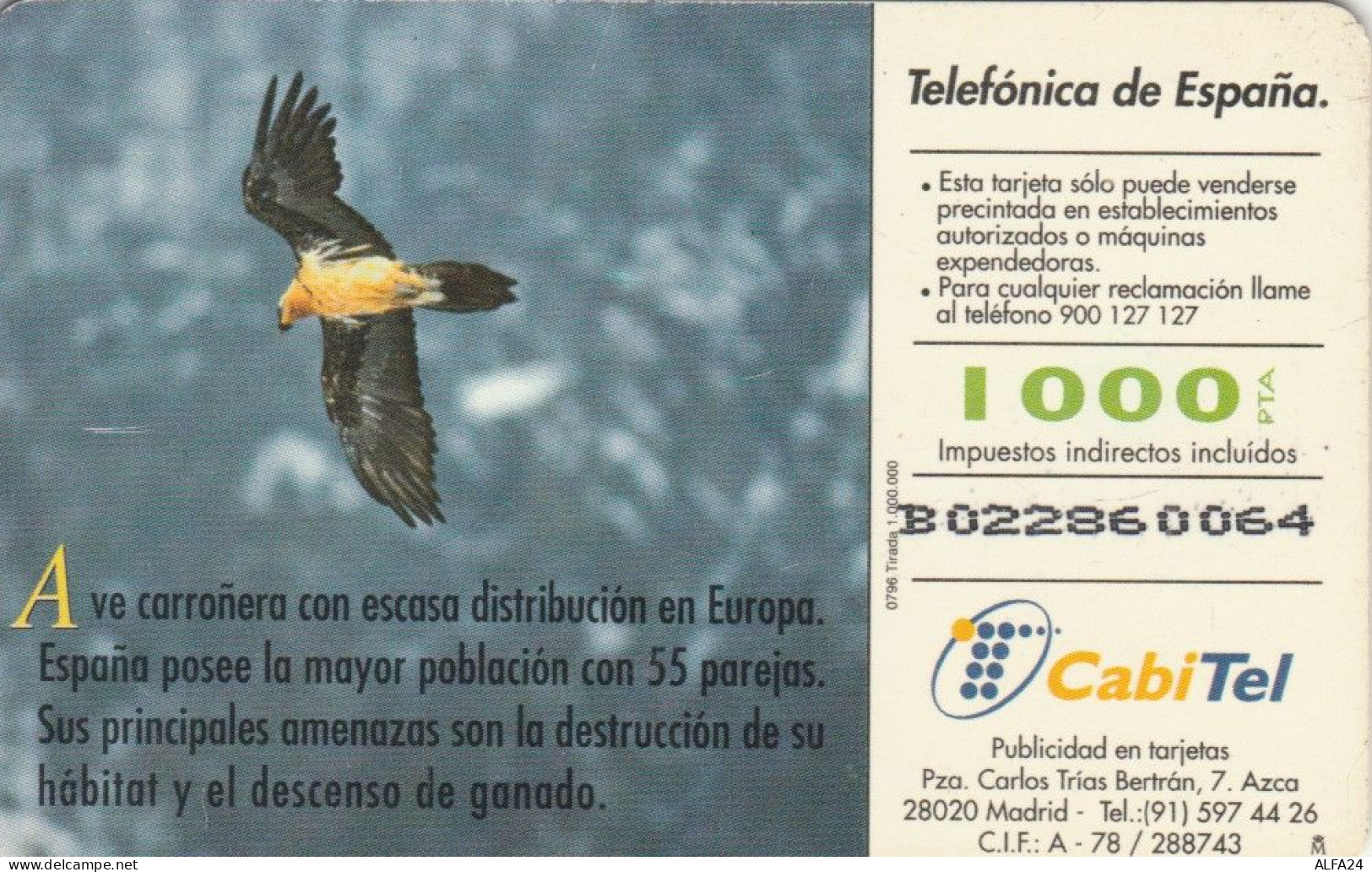 PHONE CARD SPAGNA FAUNA IBERICA (CK7099 - Basisausgaben