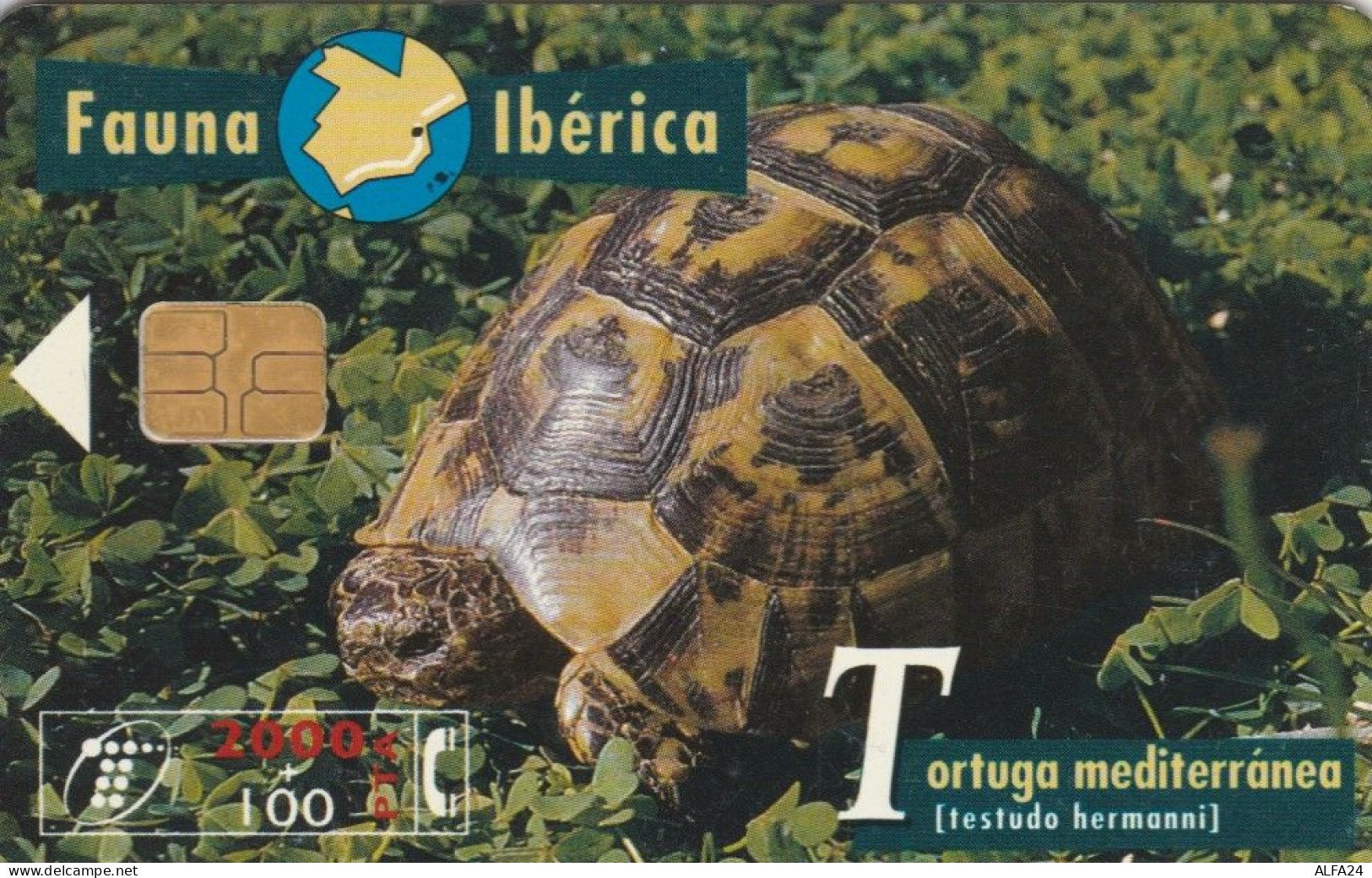 PHONE CARD SPAGNA FAUNA IBERICA (CK7111 - Emissions Basiques