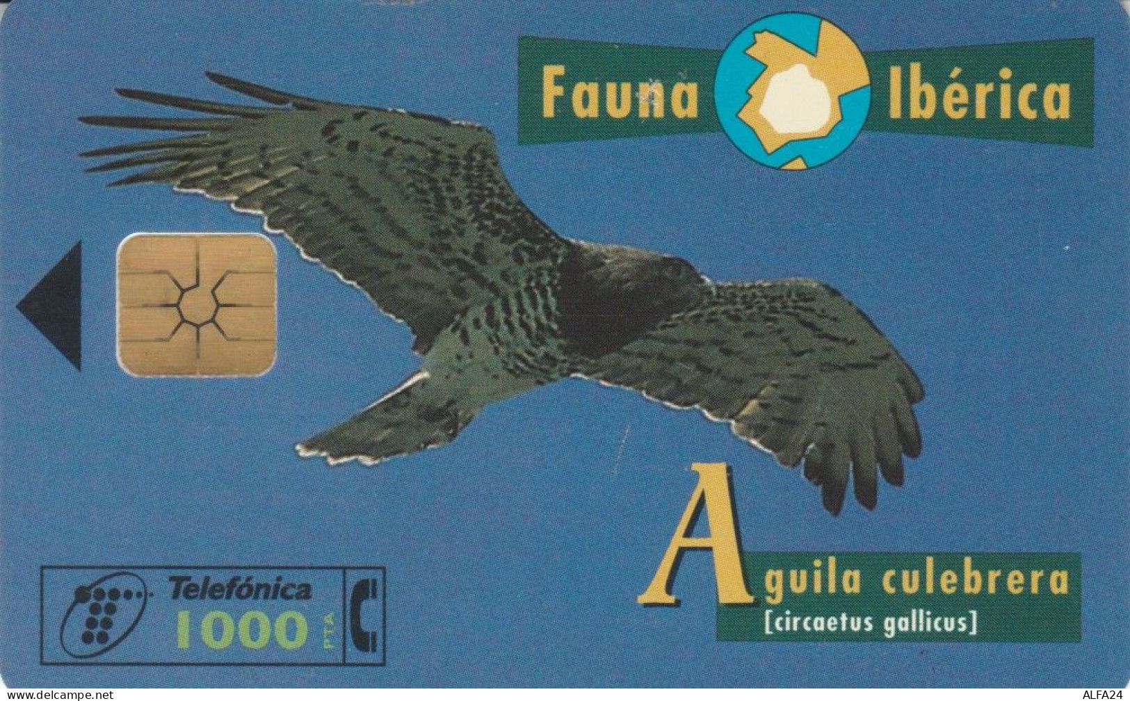 PHONE CARD SPAGNA FAUNA IBERICA (CK7098 - Emissions Basiques