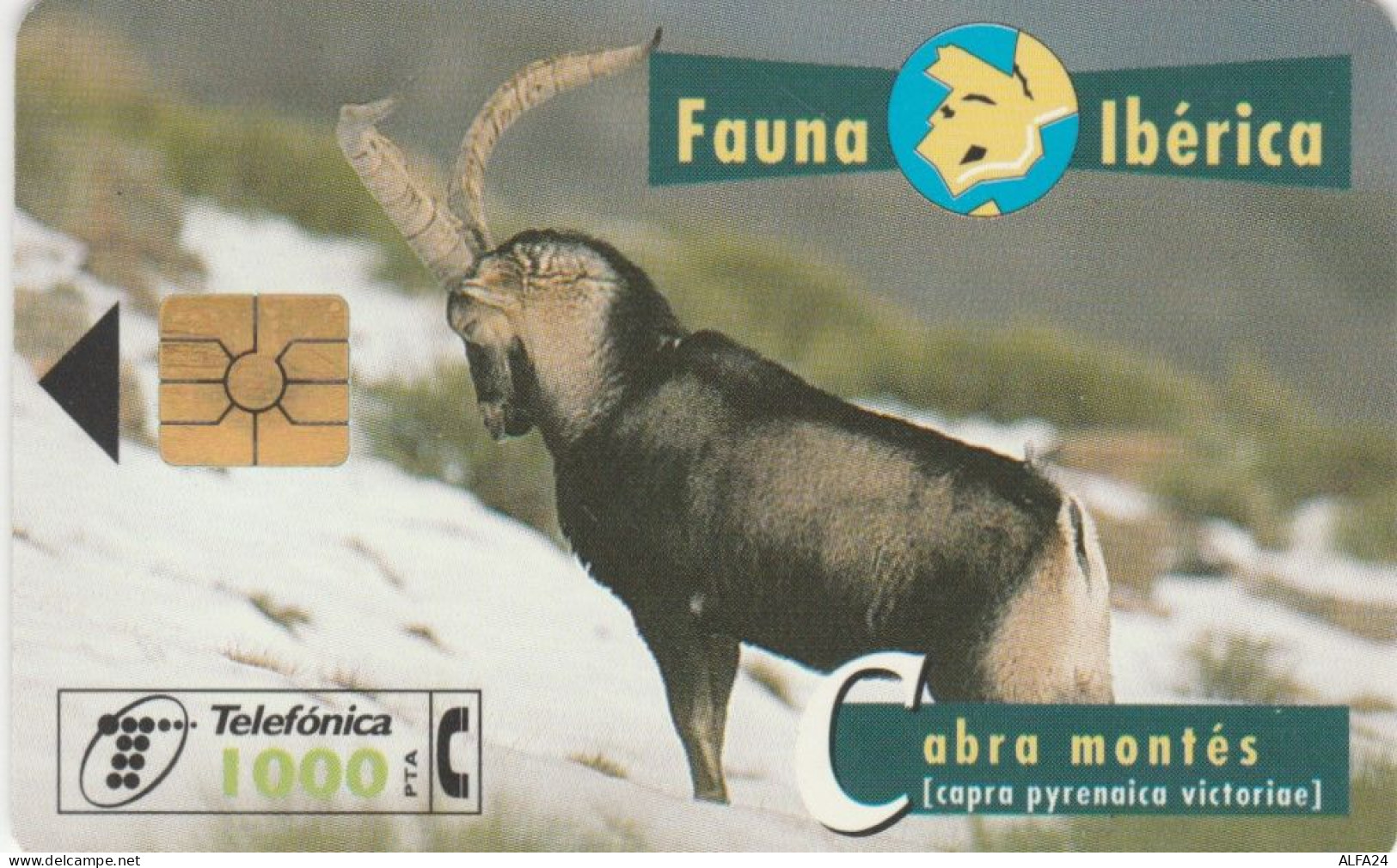 PHONE CARD SPAGNA FAUNA IBERICA (CK7104 - Emissions Basiques