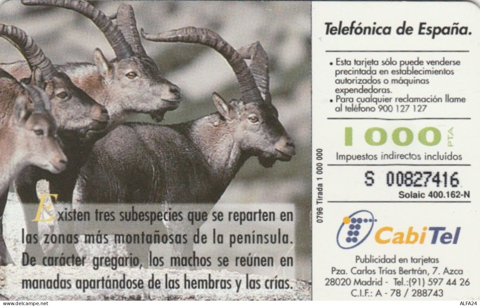 PHONE CARD SPAGNA FAUNA IBERICA (CK7104 - Basisausgaben