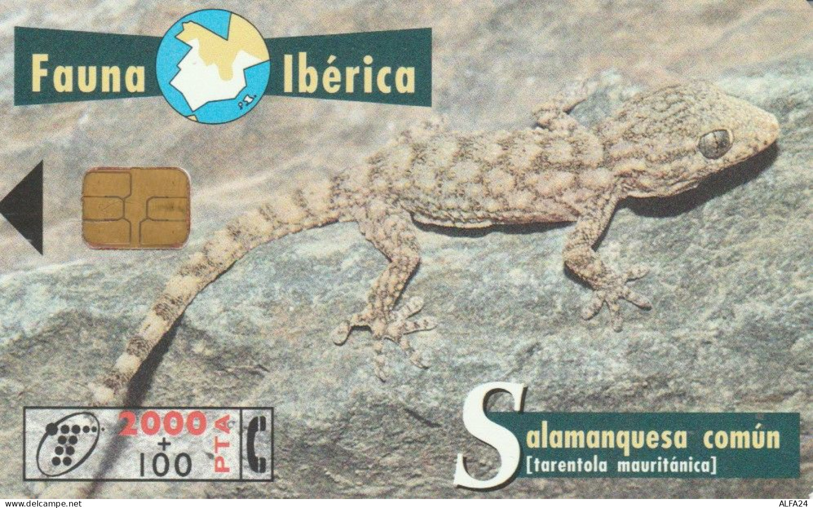 PHONE CARD SPAGNA FAUNA IBERICA (CK7105 - Emisiones Básicas