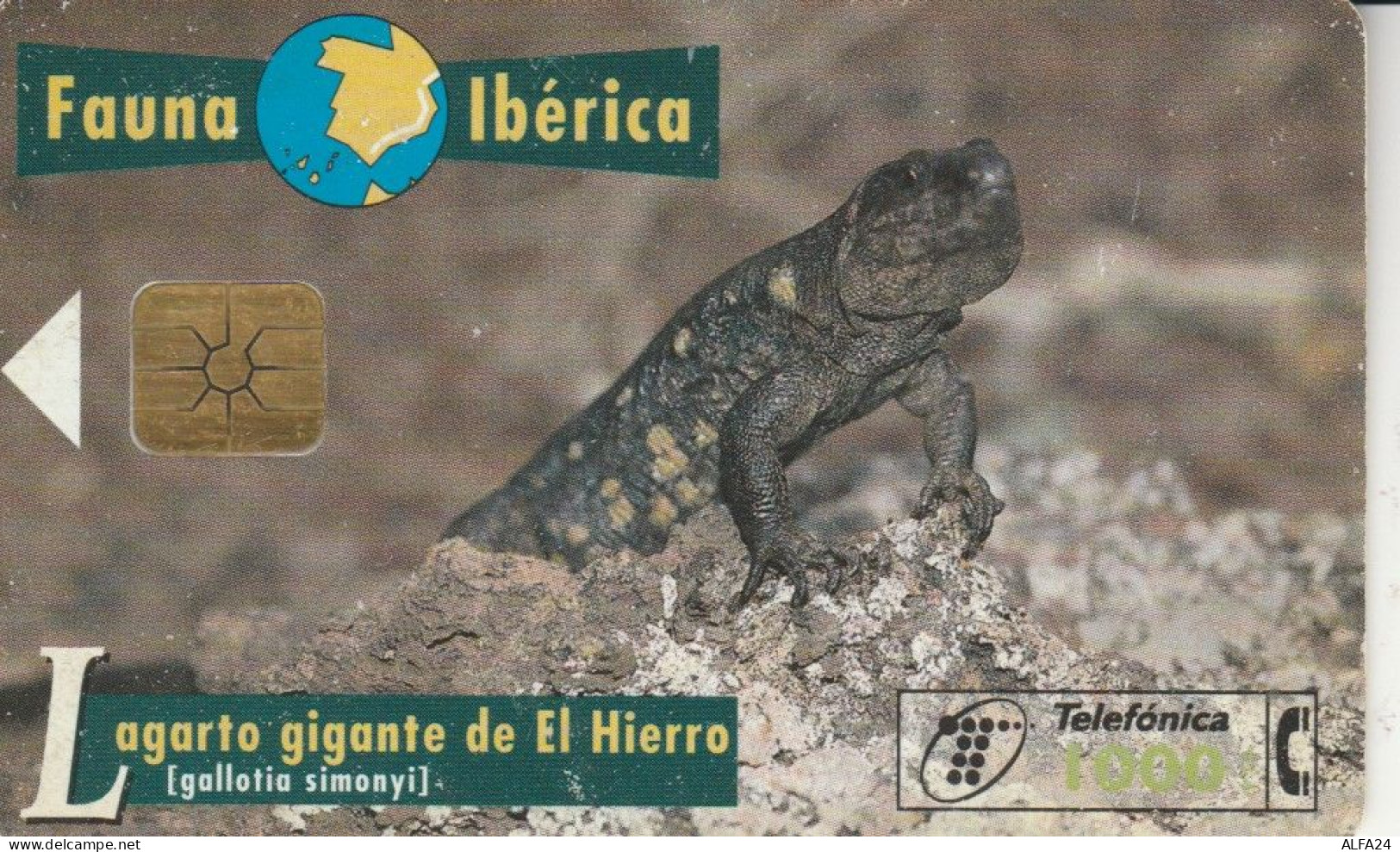 PHONE CARD SPAGNA FAUNA IBERICA (CK7113 - Basisausgaben