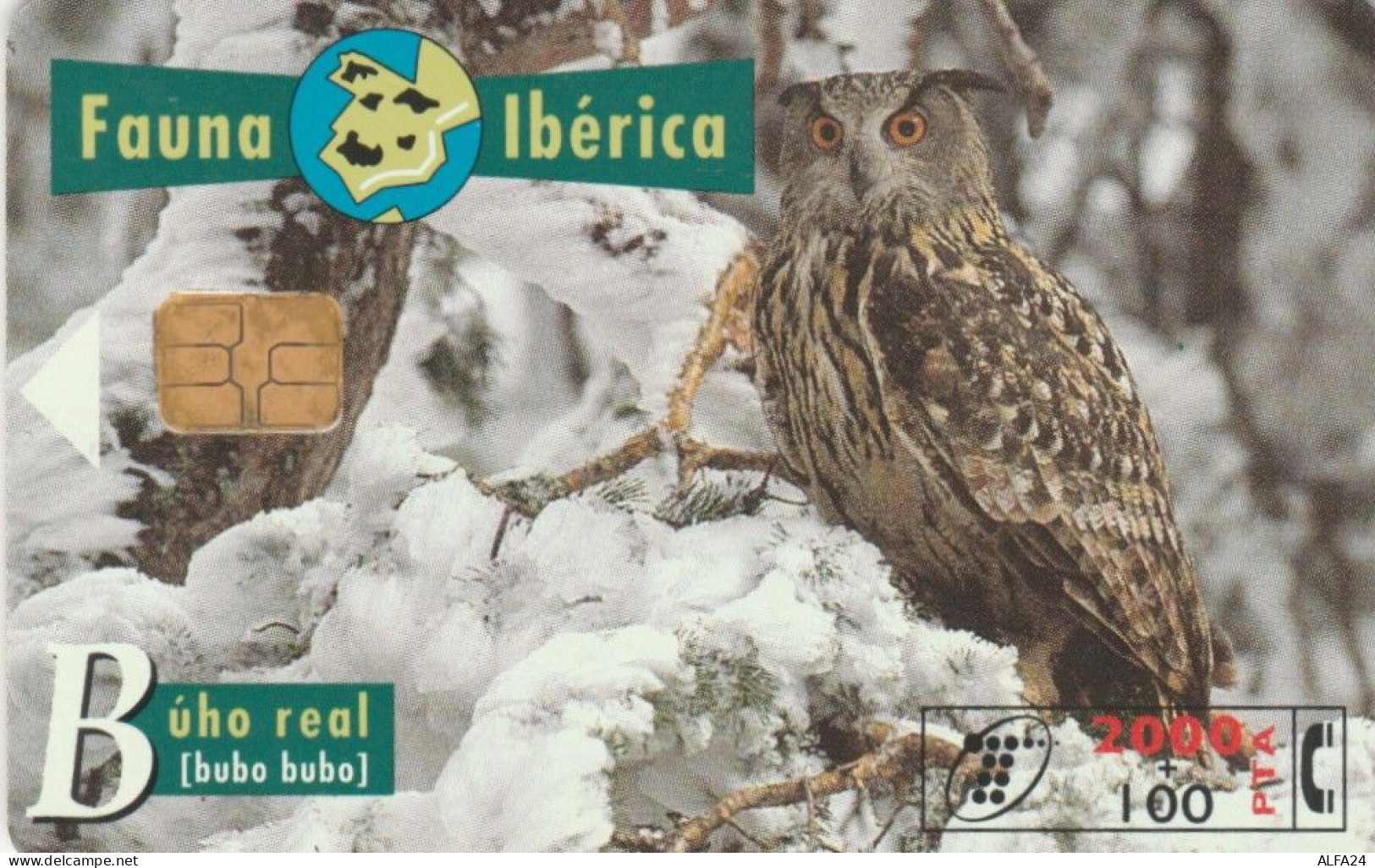 PHONE CARD SPAGNA FAUNA IBERICA (CK7102 - Basisausgaben