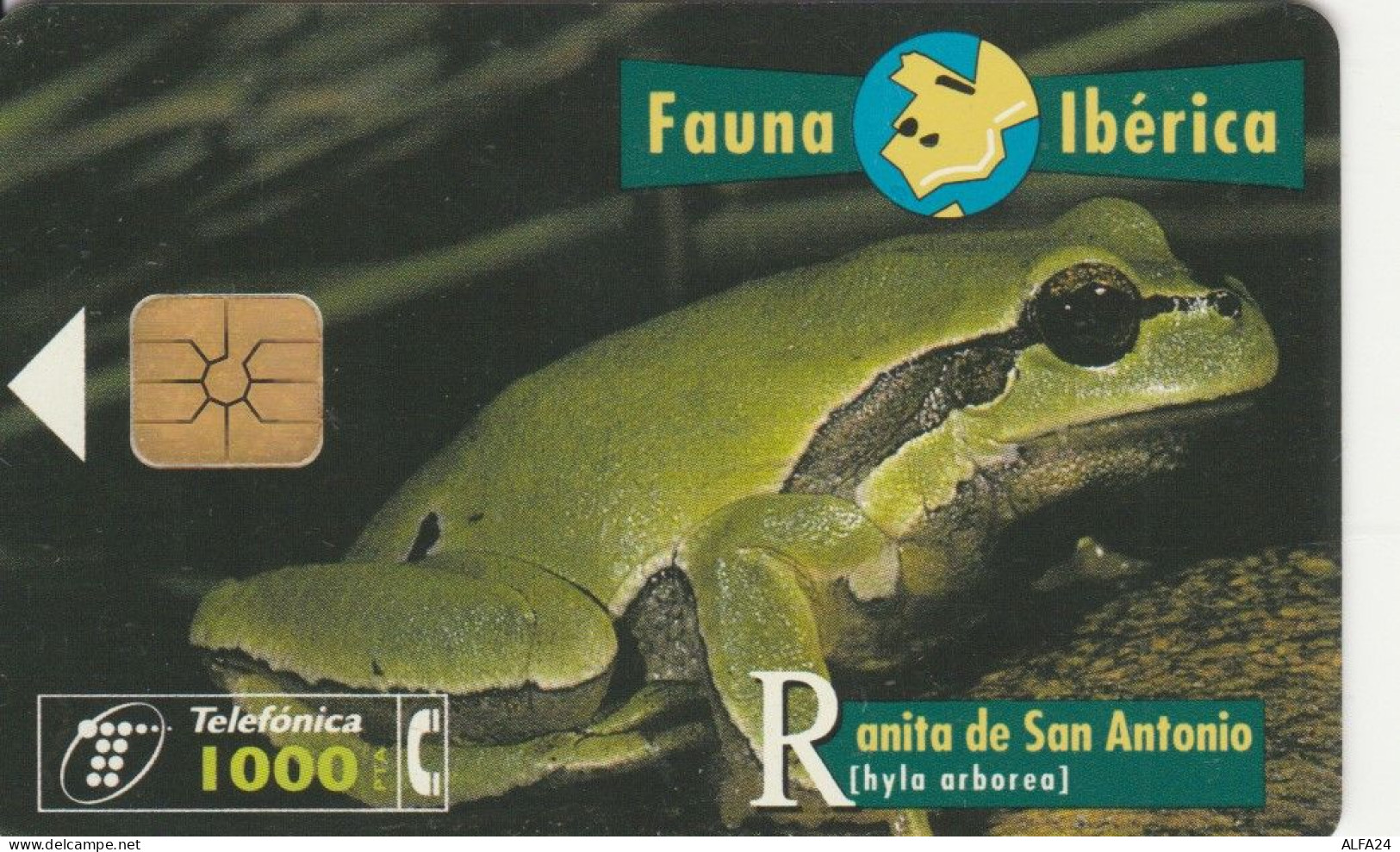 PHONE CARD SPAGNA FAUNA IBERICA (CK7101 - Basisausgaben