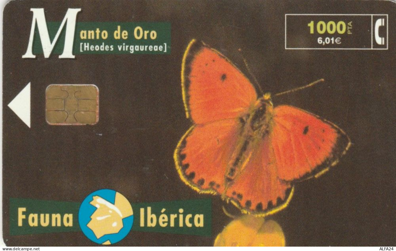 PHONE CARD SPAGNA FAUNA IBERICA (CK7096 - Basisausgaben