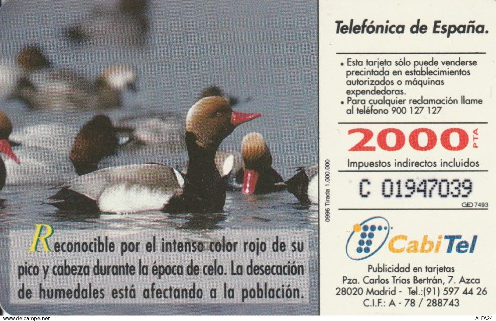 PHONE CARD SPAGNA FAUNA IBERICA (CK7095 - Basisausgaben