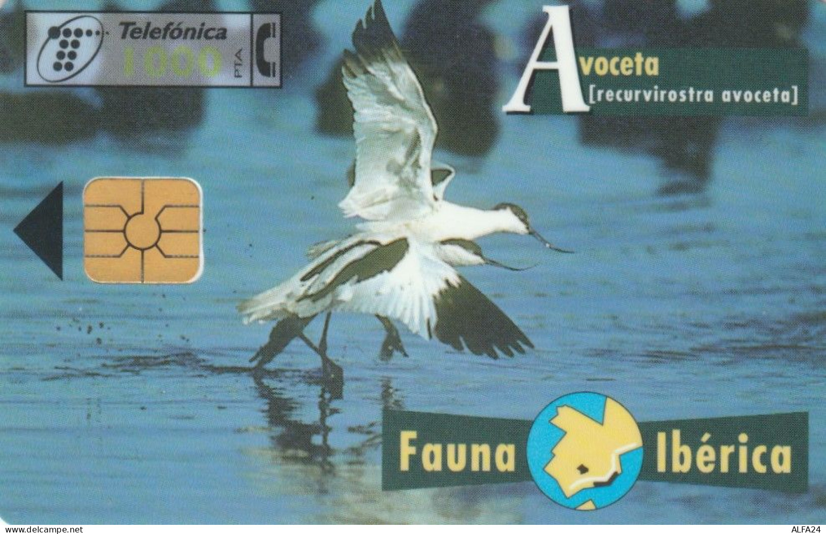 PHONE CARD SPAGNA FAUNA IBERICA (CK7088 - Emissions Basiques