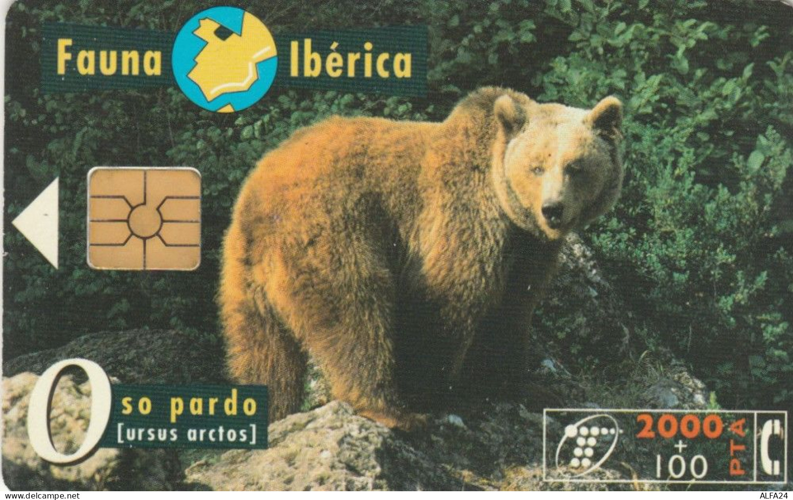 PHONE CARD SPAGNA FAUNA IBERICA (CK7080 - Basisausgaben