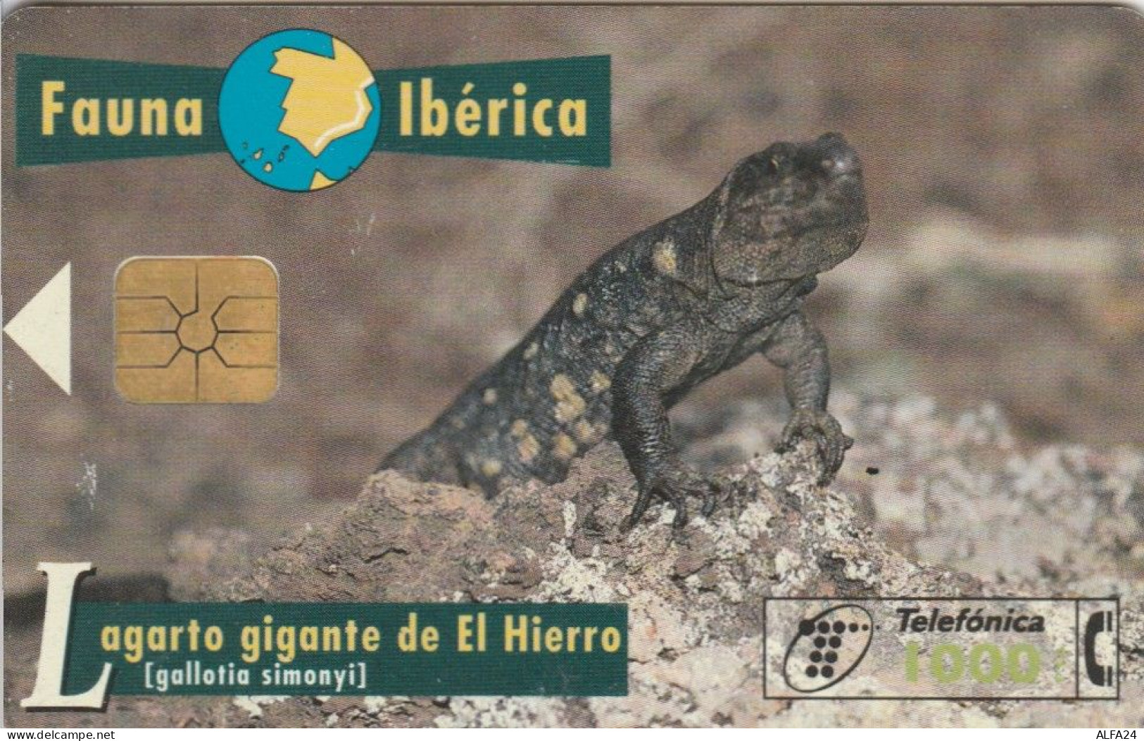 PHONE CARD SPAGNA FAUNA IBERICA (CK7091 - Basisausgaben