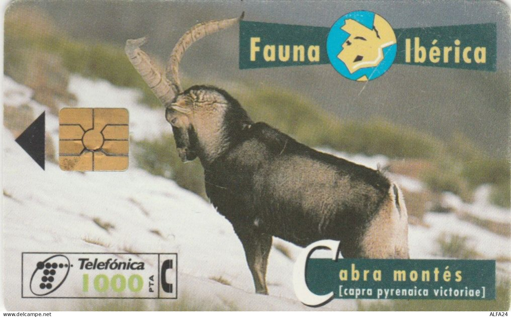 PHONE CARD SPAGNA FAUNA IBERICA (CK7076 - Emissions Basiques