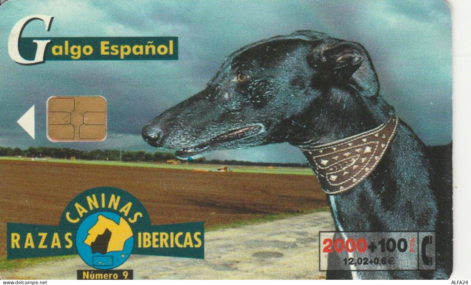 PHONE CARD SPAGNA FAUNA IBERICA (CK7085 - Emissions Basiques