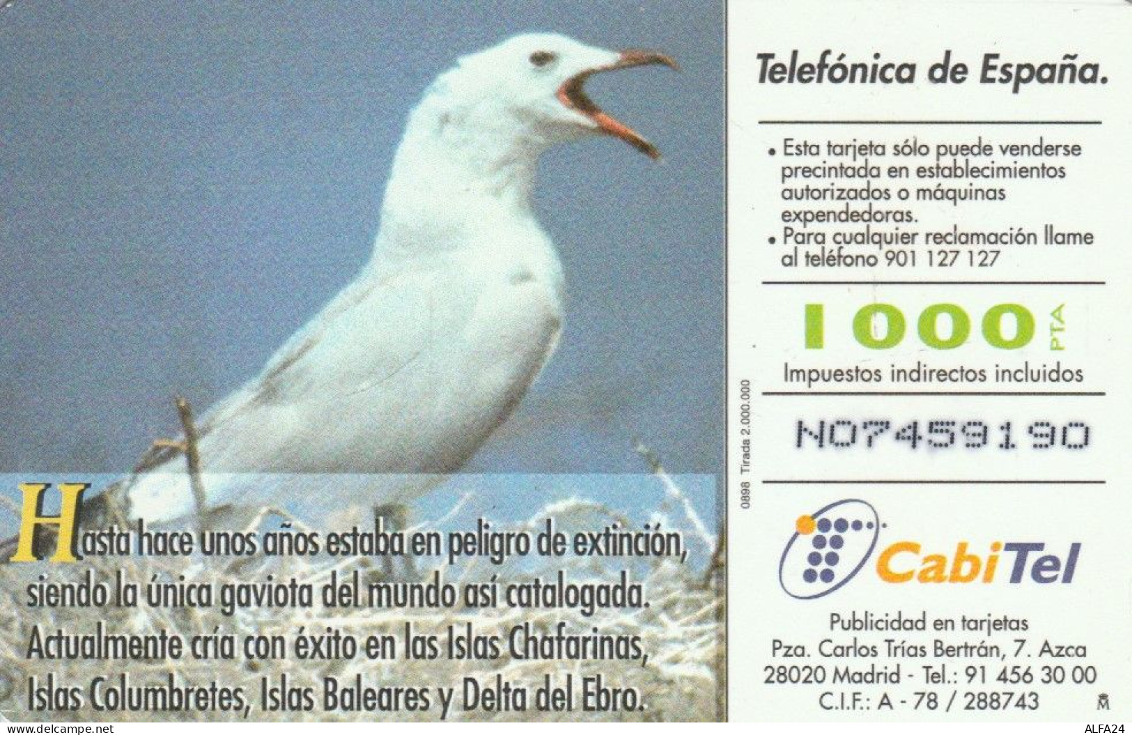 PHONE CARD SPAGNA FAUNA IBERICA (CK7075 - Basisausgaben