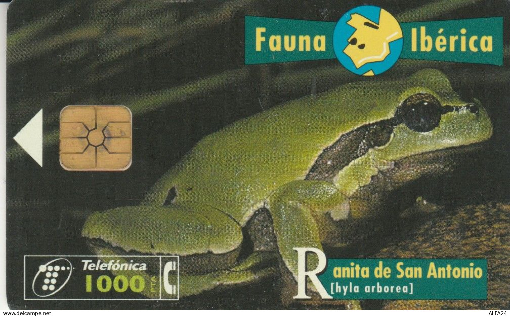 PHONE CARD SPAGNA FAUNA IBERICA (CK7082 - Basisausgaben