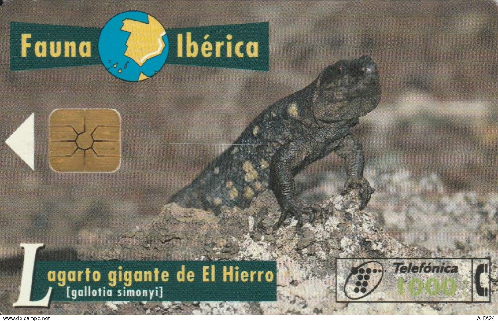 PHONE CARD SPAGNA FAUNA IBERICA (CK7079 - Basisausgaben