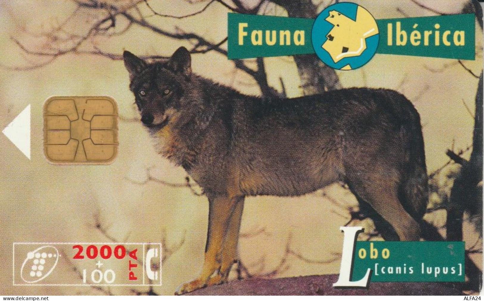 PHONE CARD SPAGNA FAUNA IBERICA (CK7073 - Basisausgaben