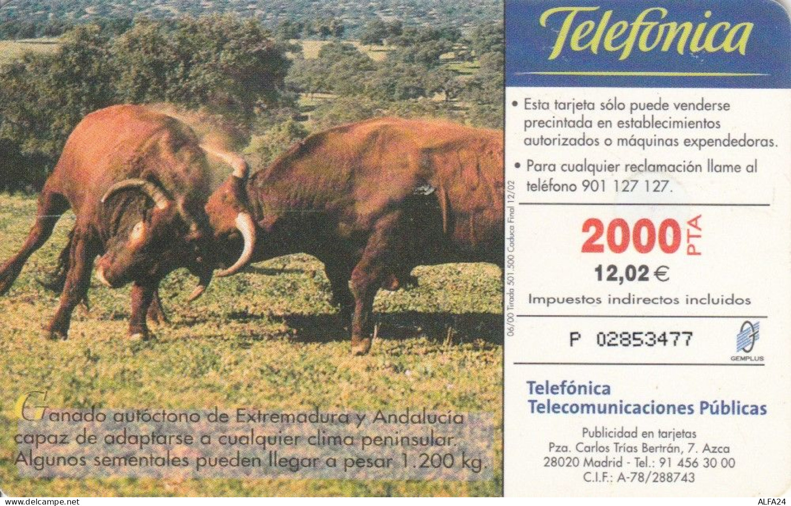 PHONE CARD SPAGNA FAUNA IBERICA (CK7071 - Emisiones Básicas