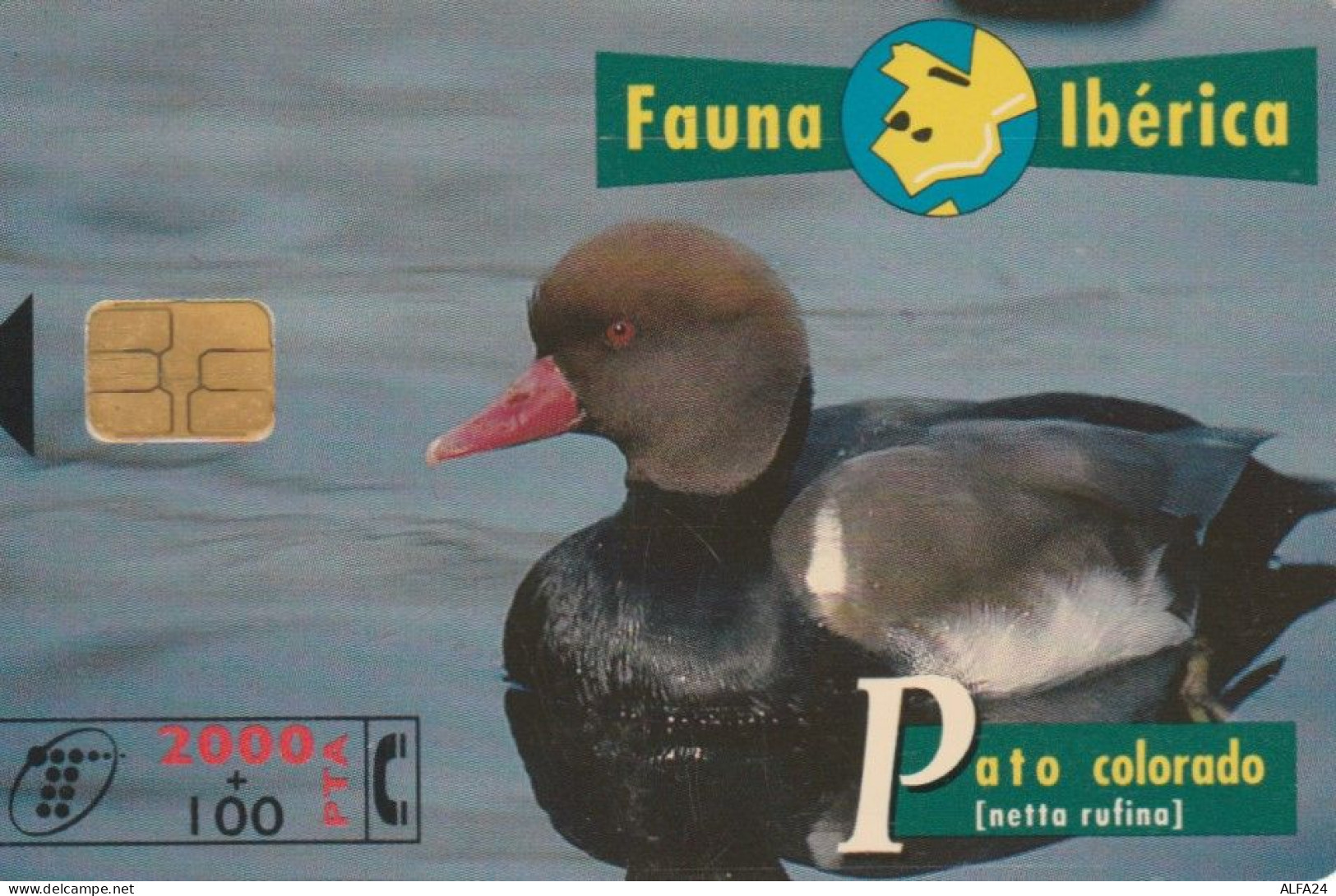 PHONE CARD SPAGNA FAUNA IBERICA (CK7067 - Emissions Basiques