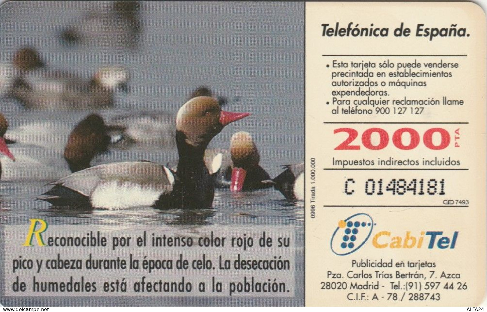 PHONE CARD SPAGNA FAUNA IBERICA (CK7067 - Basisausgaben