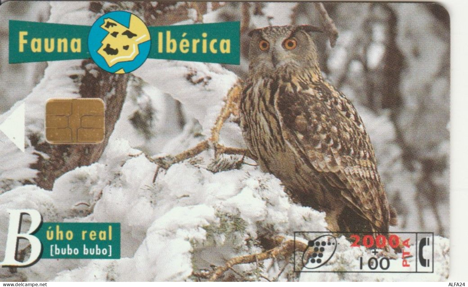 PHONE CARD SPAGNA FAUNA IBERICA (CK7069 - Emisiones Básicas