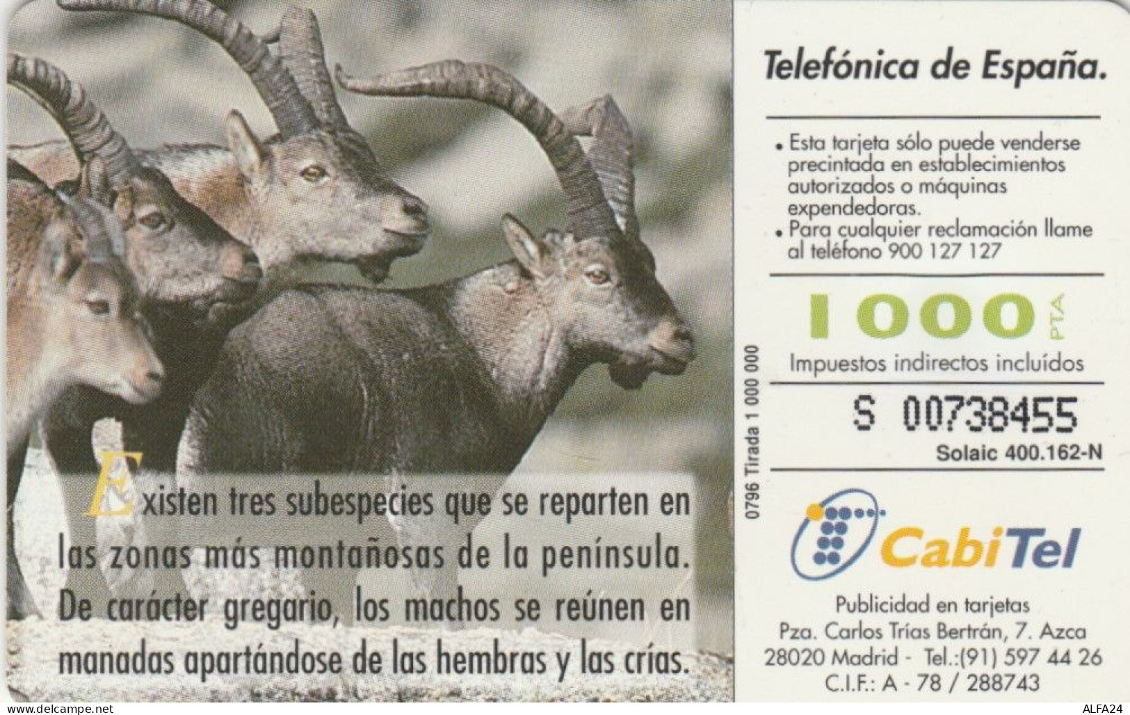 PHONE CARD SPAGNA FAUNA IBERICA (CK7068 - Basisausgaben