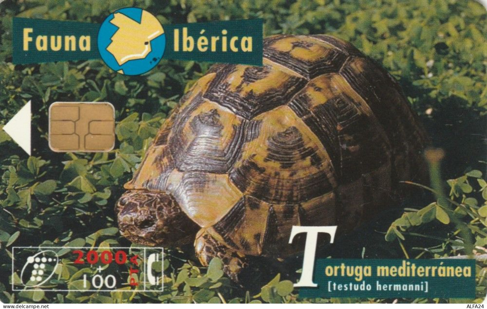 PHONE CARD SPAGNA FAUNA IBERICA (CK7064 - Emissions Basiques