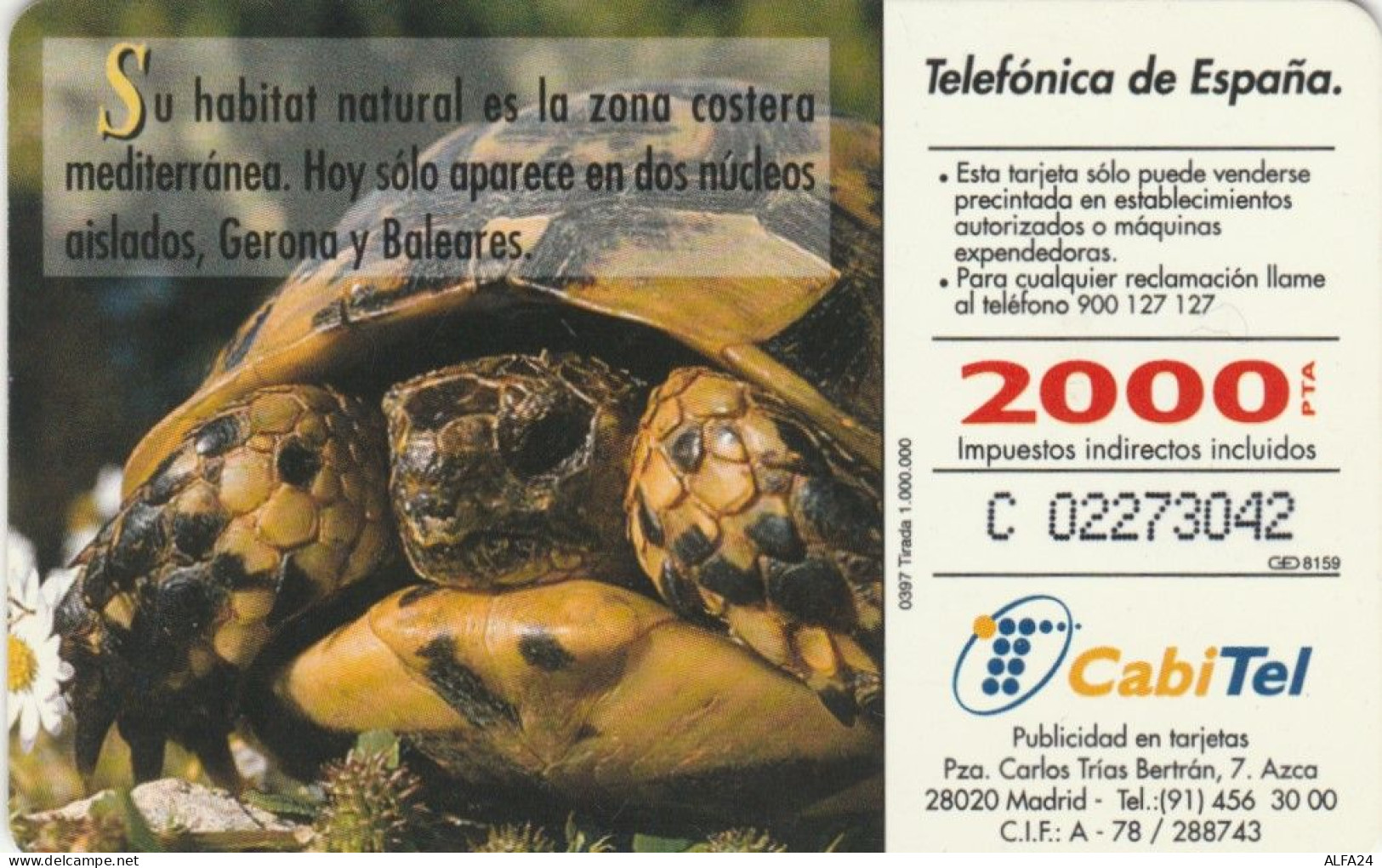 PHONE CARD SPAGNA FAUNA IBERICA (CK7064 - Emissions Basiques