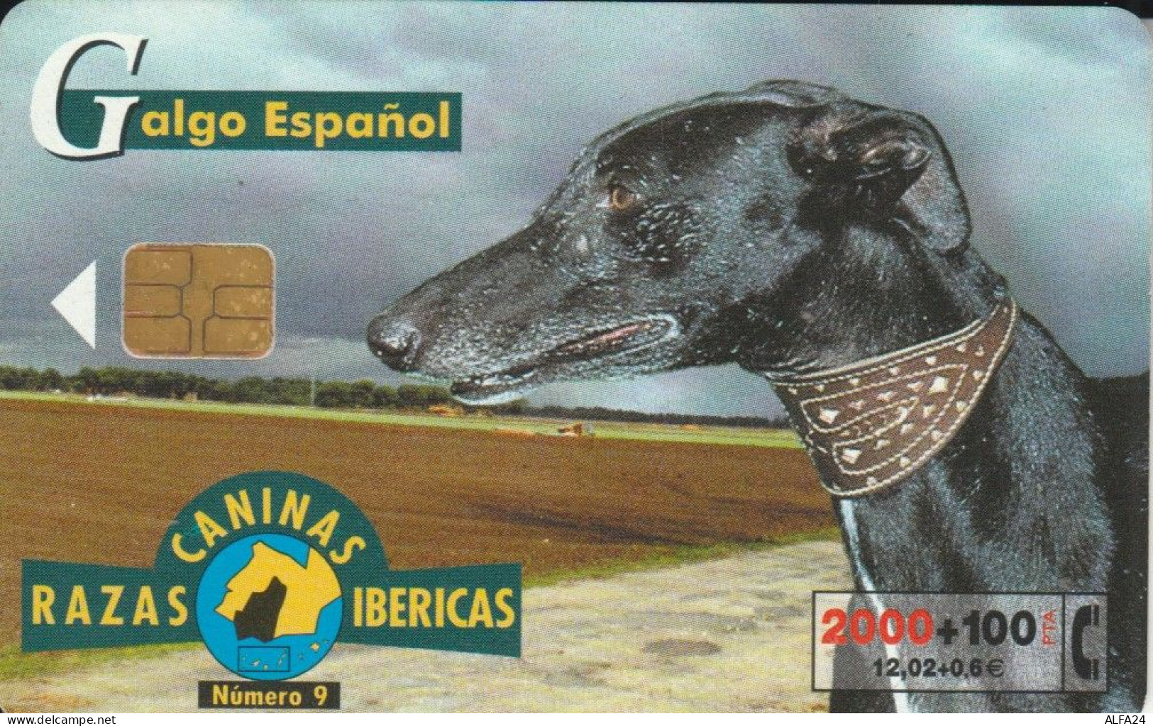 PHONE CARD SPAGNA FAUNA IBERICA (CK7065 - Emisiones Básicas