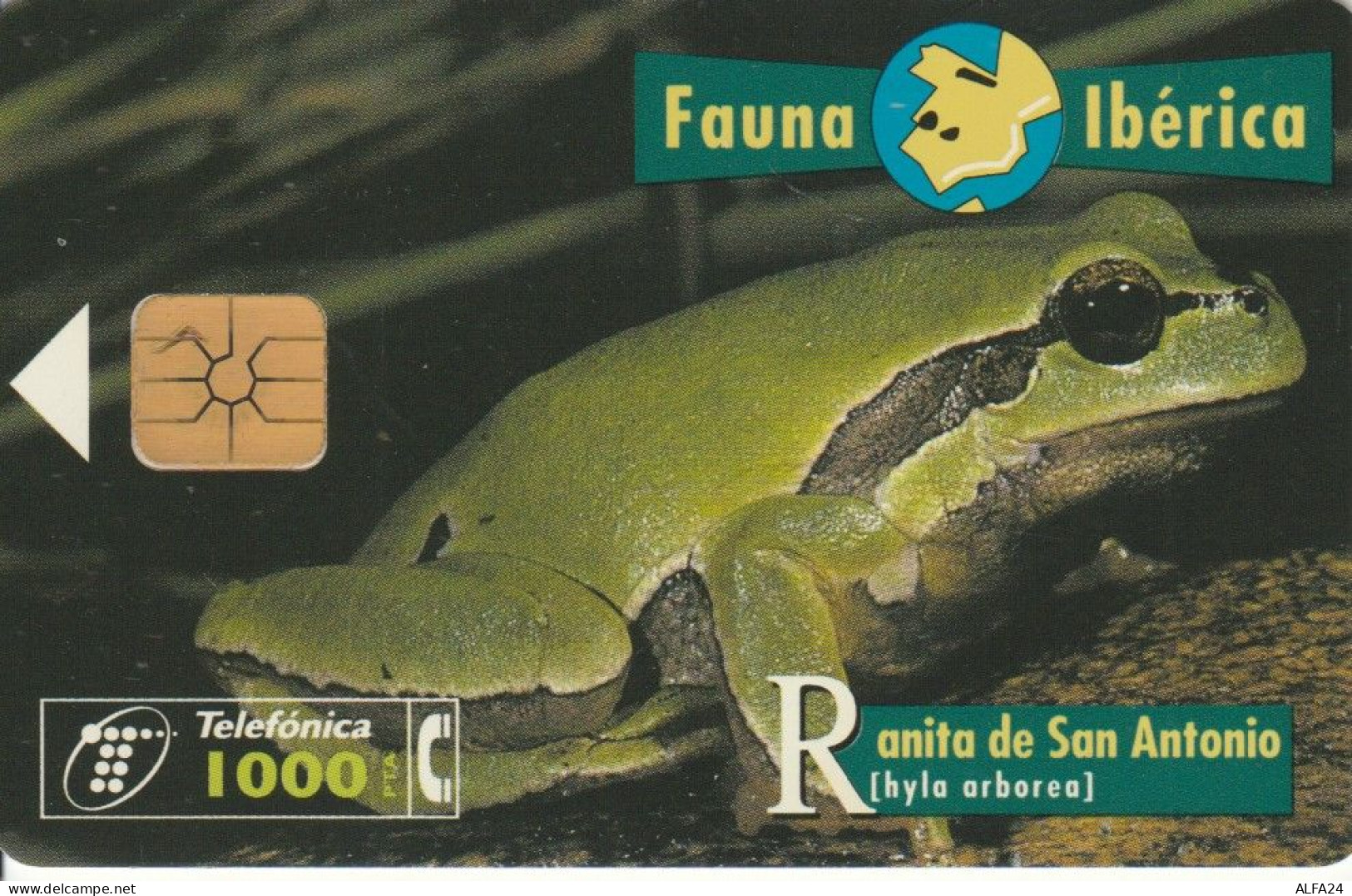 PHONE CARD SPAGNA FAUNA IBERICA (CK7063 - Emissions Basiques