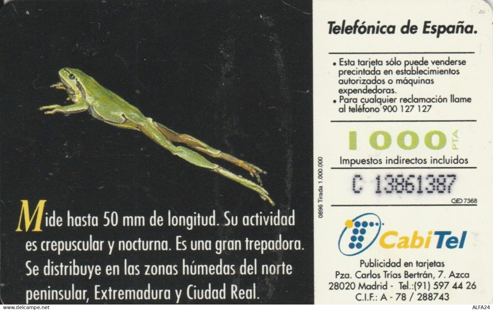 PHONE CARD SPAGNA FAUNA IBERICA (CK7063 - Basisausgaben