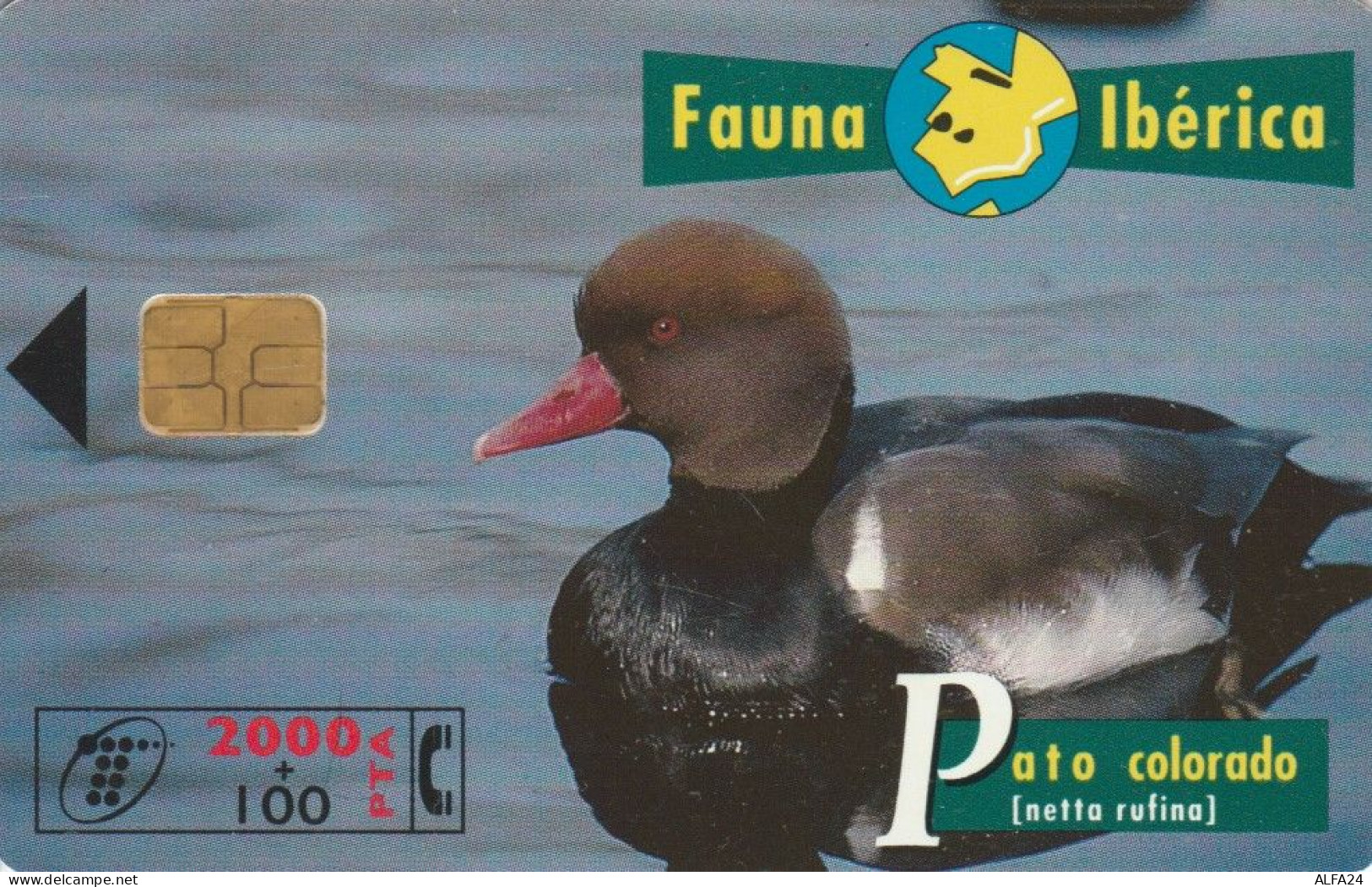 PHONE CARD SPAGNA FAUNA IBERICA (CK7139 - Basisausgaben