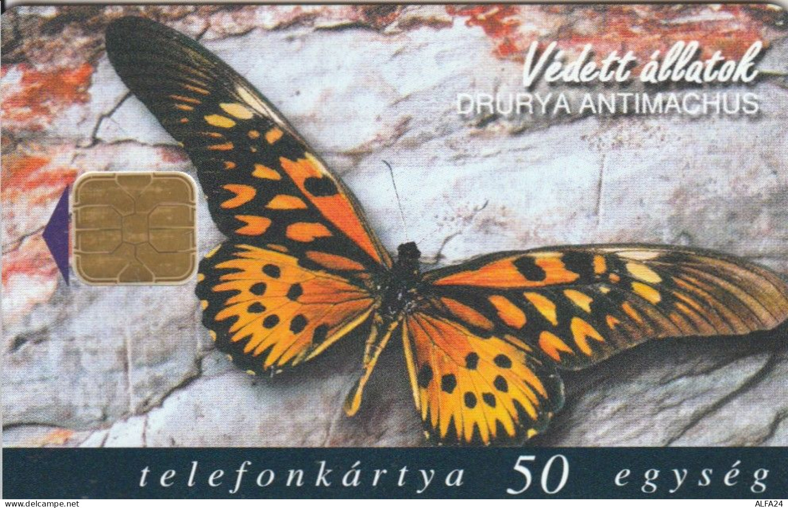 PHONE CARD UNGHERIA (CK7287 - Hongrie