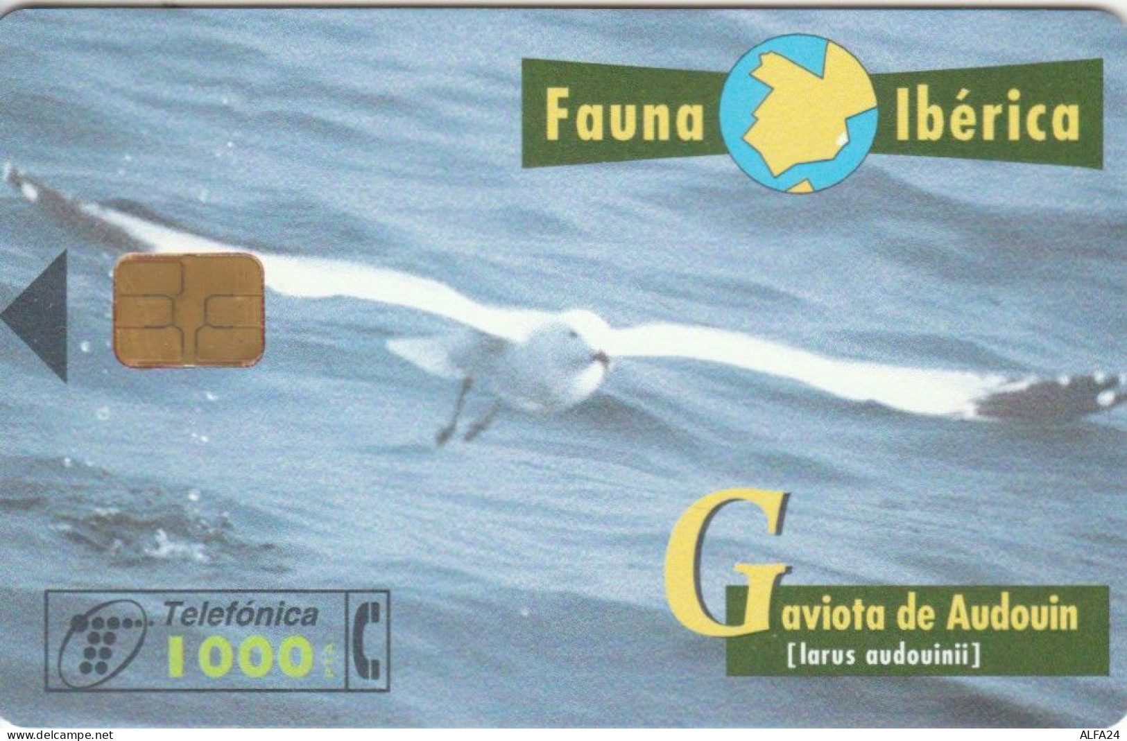 PHONE CARD SPAGNA FAUNA IBERICA (CK7247 - Basisausgaben