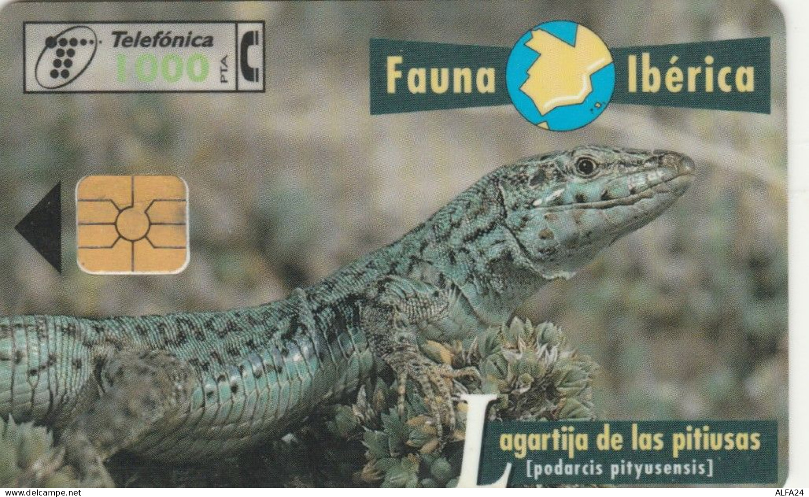 PHONE CARD SPAGNA FAUNA IBERICA (CK7238 - Emissions Basiques