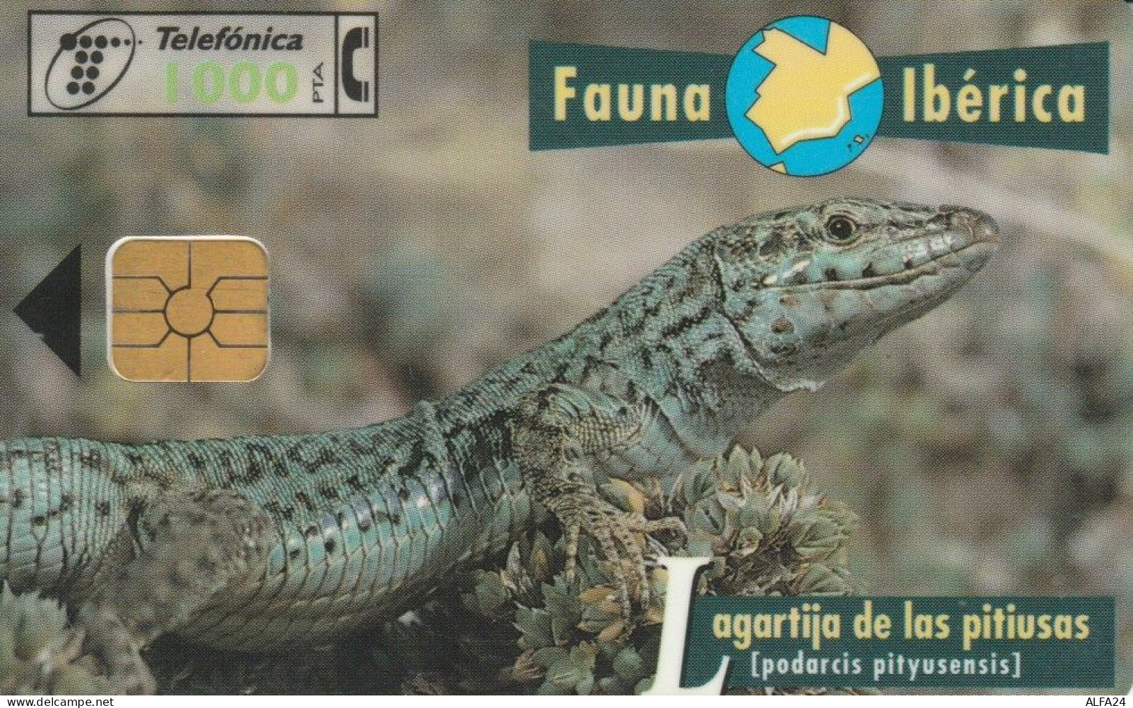 PHONE CARD SPAGNA FAUNA IBERICA (CK7241 - Emisiones Básicas
