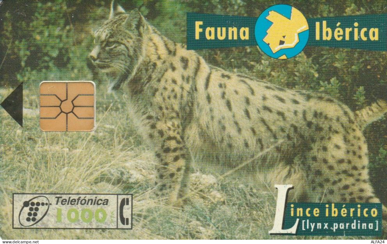 PHONE CARD SPAGNA FAUNA IBERICA (CK7234 - Emissions Basiques