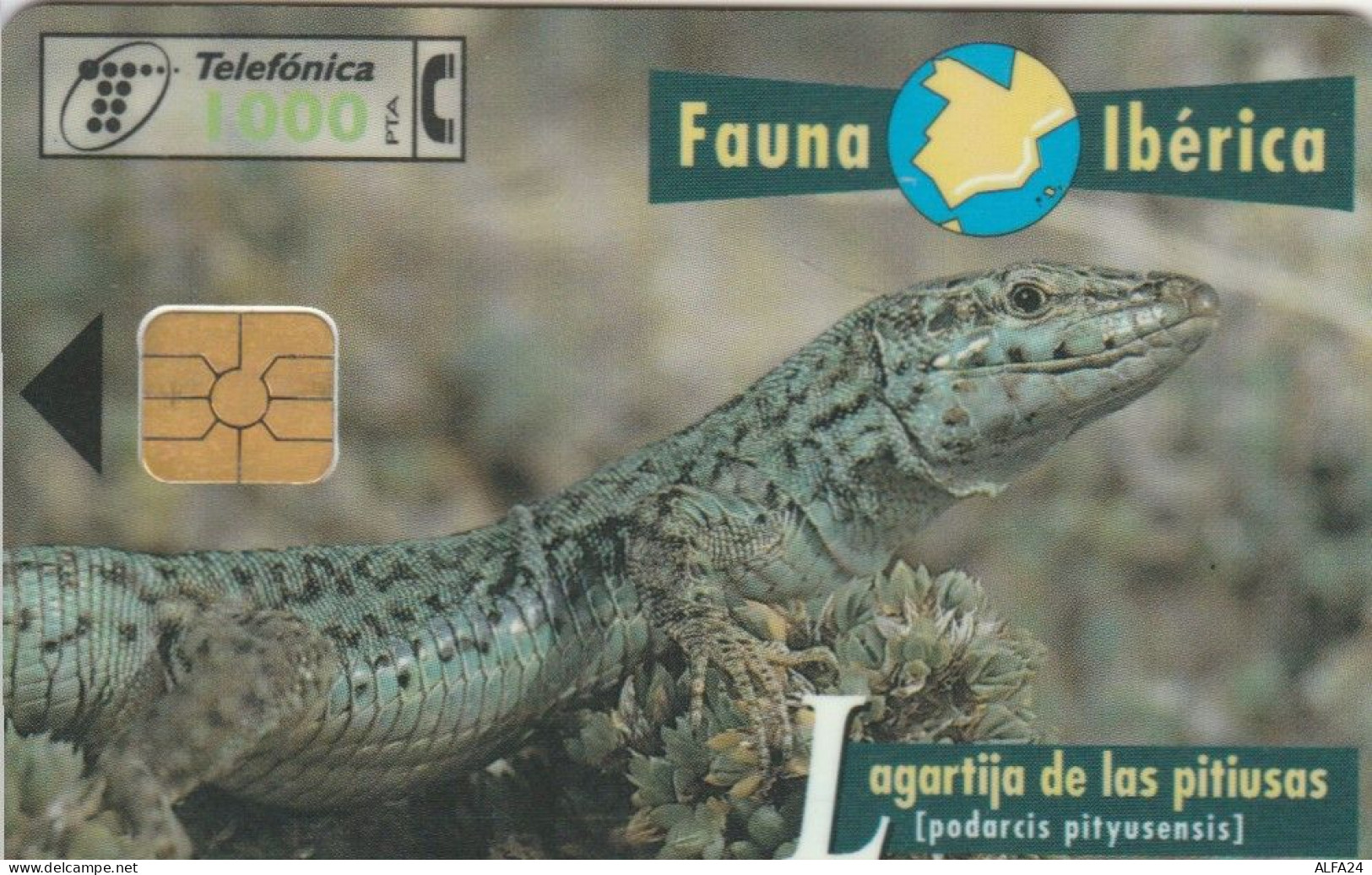 PHONE CARD SPAGNA FAUNA IBERICA (CK7239 - Emisiones Básicas