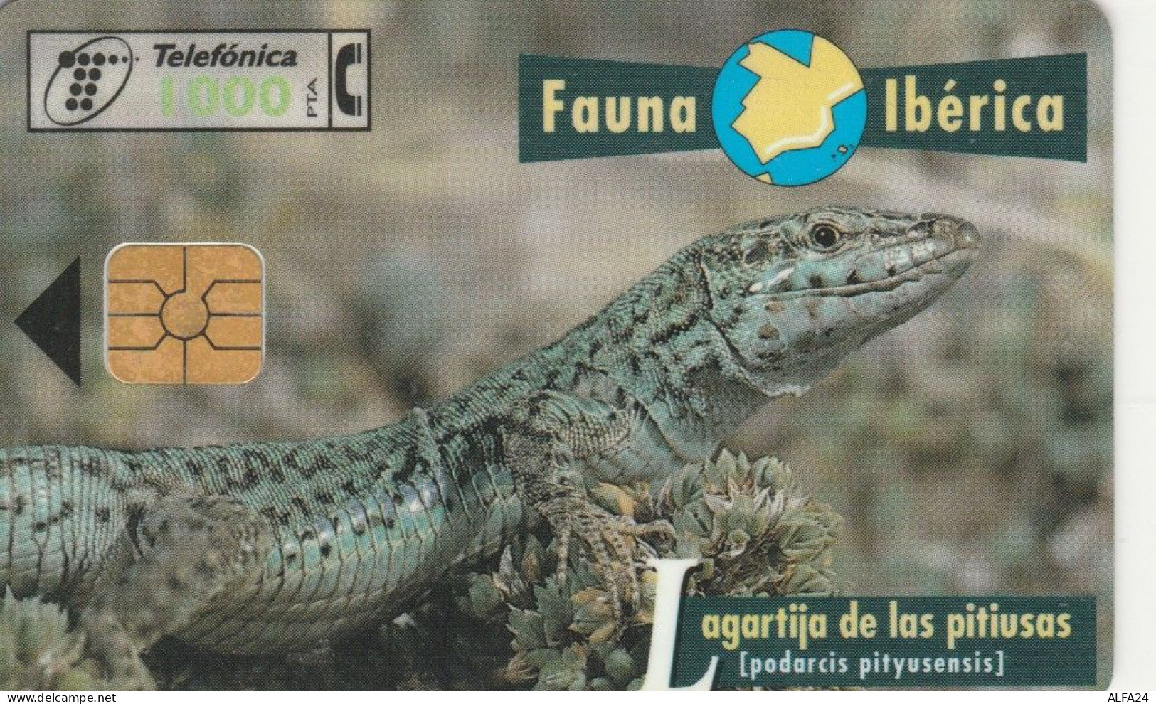 PHONE CARD SPAGNA FAUNA IBERICA (CK7237 - Emisiones Básicas