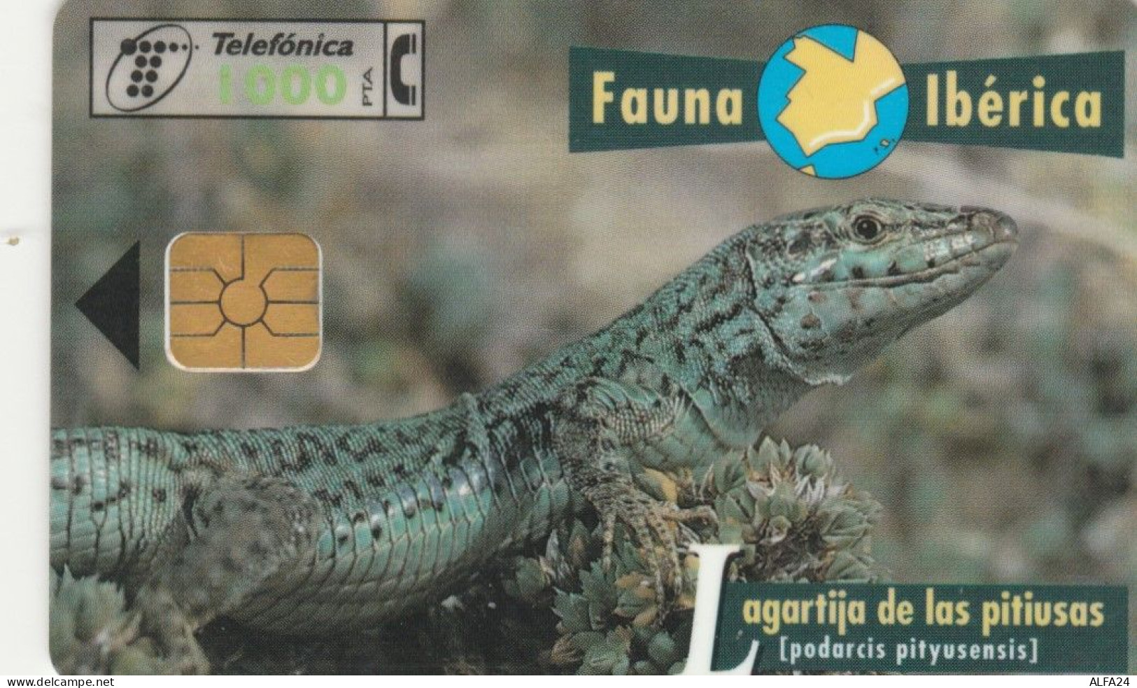 PHONE CARD SPAGNA FAUNA IBERICA (CK7236 - Emissions Basiques