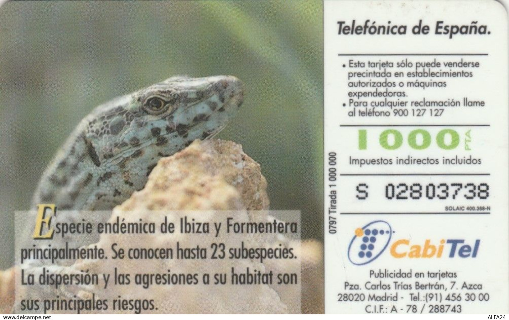 PHONE CARD SPAGNA FAUNA IBERICA (CK7236 - Basisausgaben