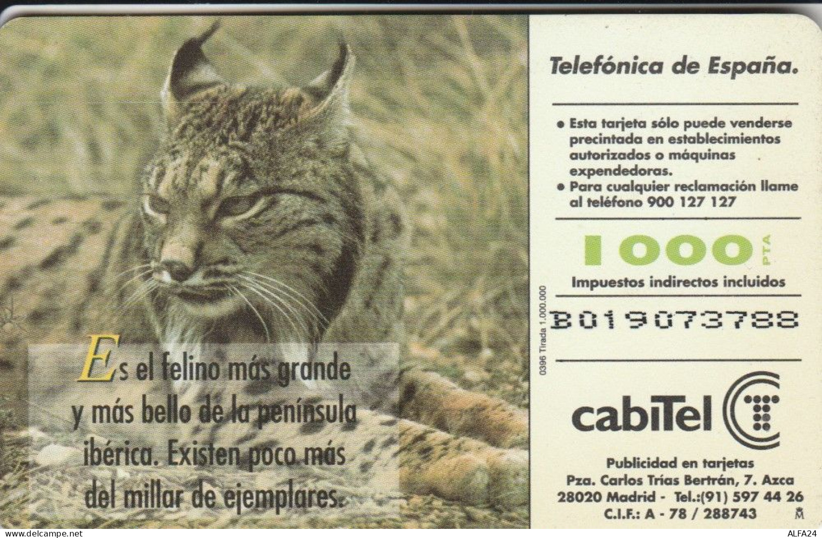 PHONE CARD SPAGNA FAUNA IBERICA (CK7233 - Basisausgaben