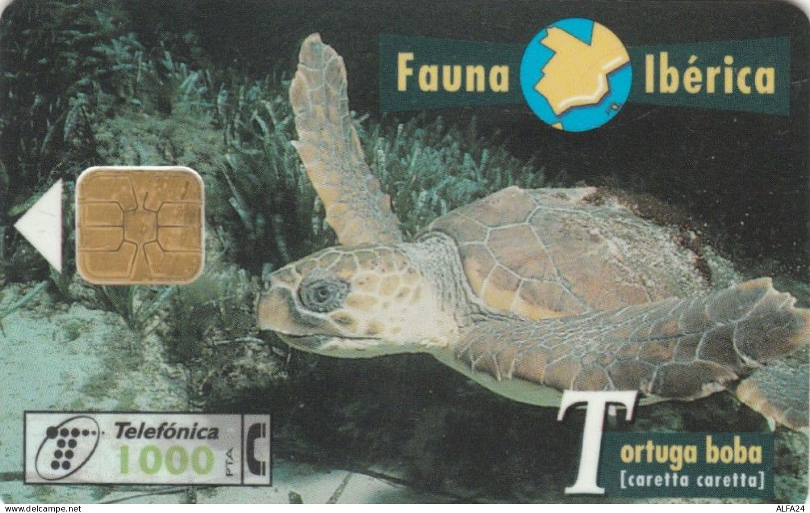 PHONE CARD SPAGNA FAUNA IBERICA (CK7214 - Emisiones Básicas