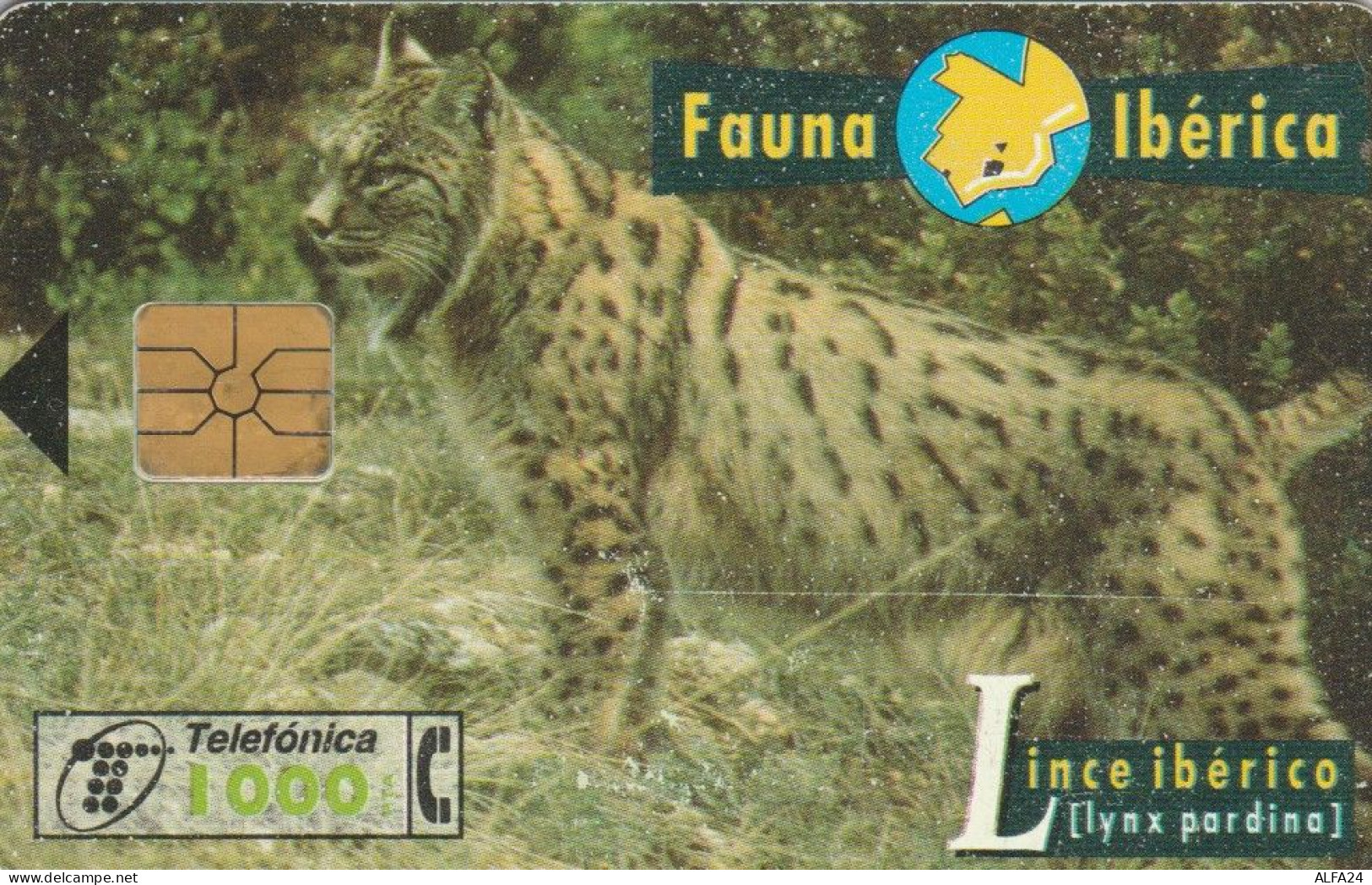 PHONE CARD SPAGNA FAUNA IBERICA (CK7211 - Emisiones Básicas