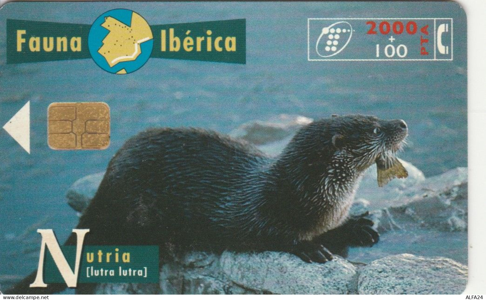 PHONE CARD SPAGNA FAUNA IBERICA (CK7213 - Emisiones Básicas