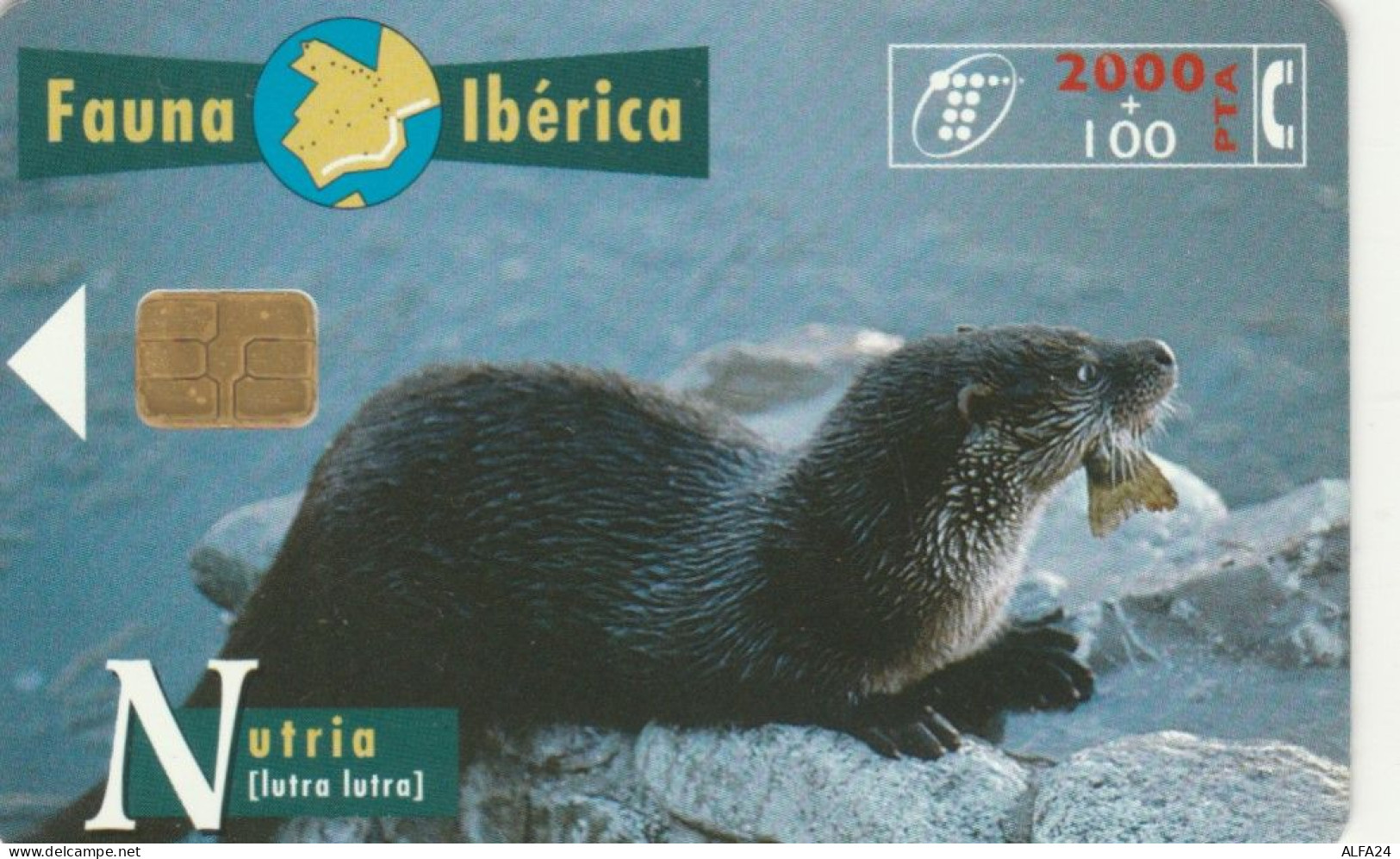 PHONE CARD SPAGNA FAUNA IBERICA (CK7212 - Emissions Basiques