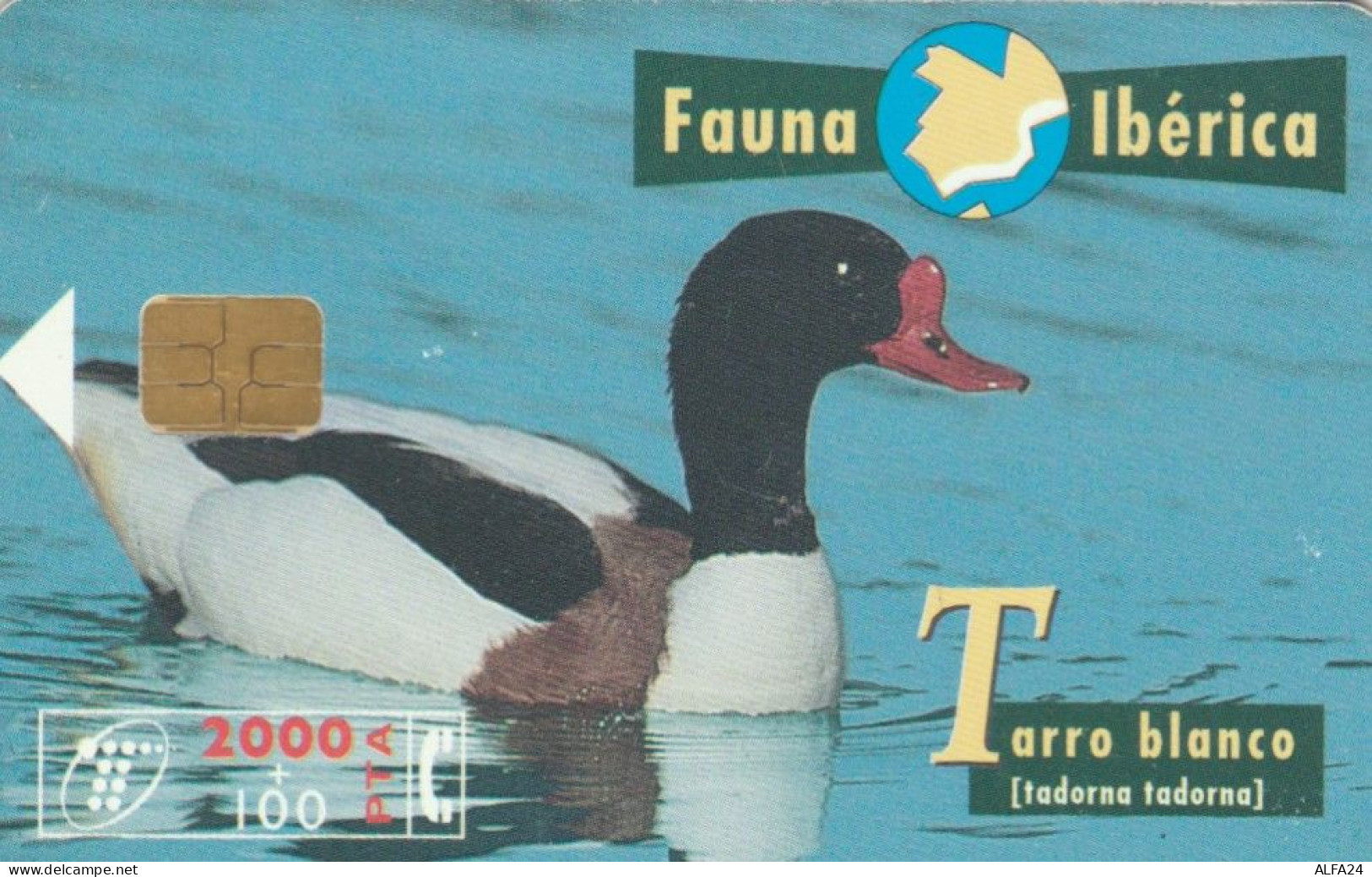 PHONE CARD SPAGNA FAUNA IBERICA (CK7204 - Emisiones Básicas