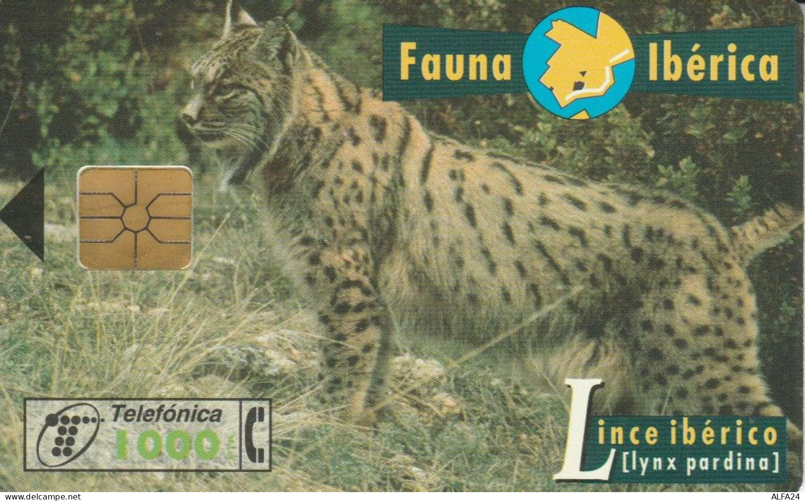 PHONE CARD SPAGNA FAUNA IBERICA (CK7209 - Emissions Basiques