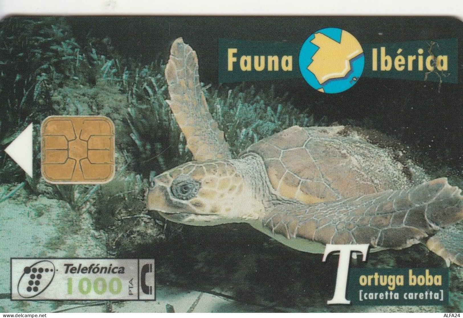 PHONE CARD SPAGNA FAUNA IBERICA (CK7203 - Emissions Basiques