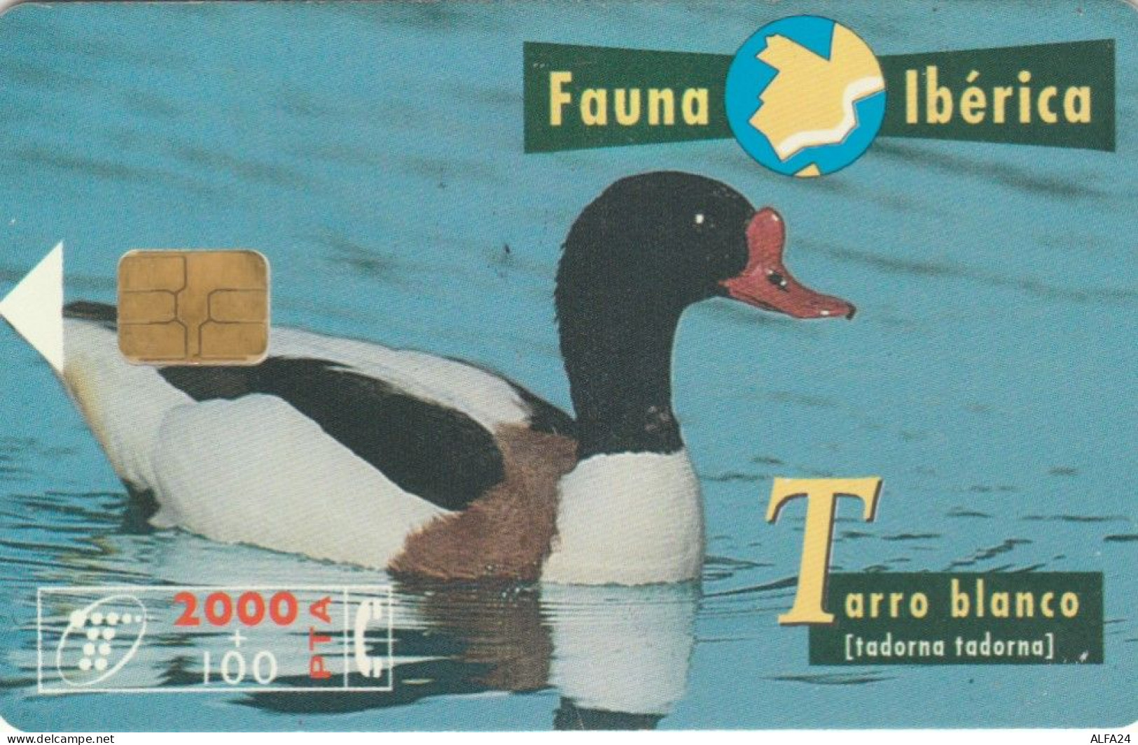 PHONE CARD SPAGNA FAUNA IBERICA (CK7208 - Emisiones Básicas