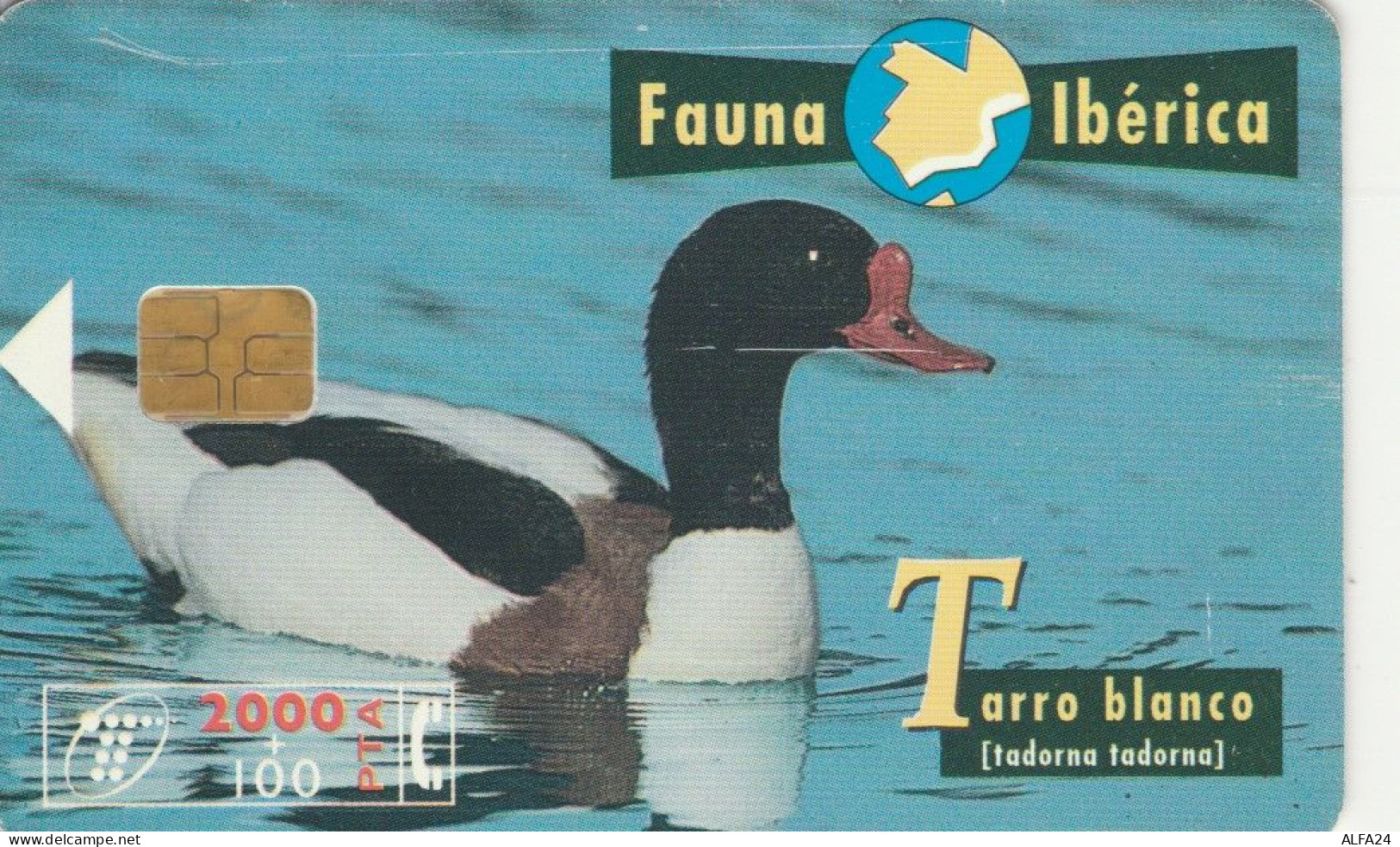 PHONE CARD SPAGNA FAUNA IBERICA (CK7205 - Emissions Basiques